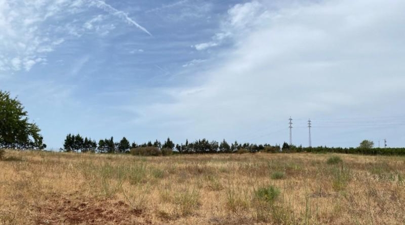 Huelva - Ayamonte - 49044m2