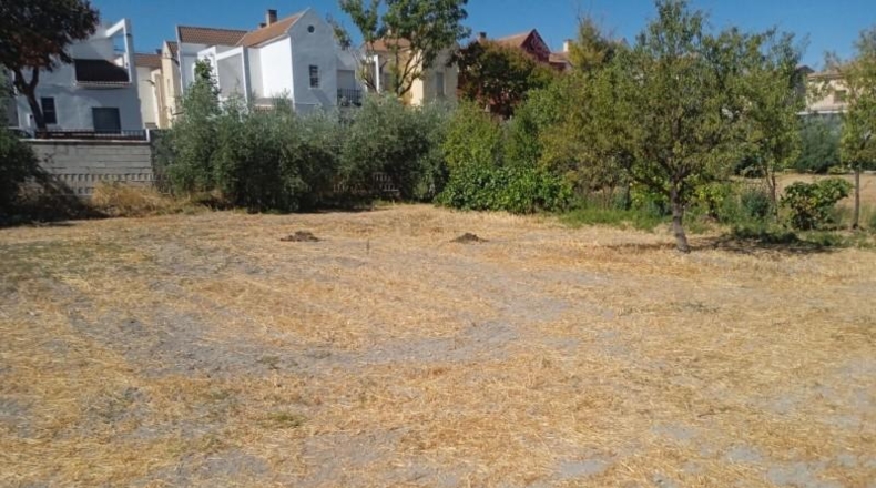 Гранада - Zújar - 1750m2