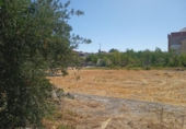 Urban land for sale on España, Zújar, ref: TR363604 photo