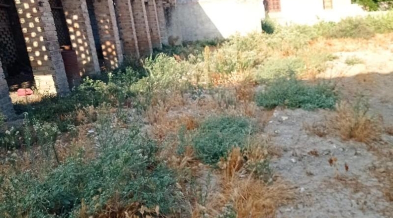 Granada - Belicena - 1280m2