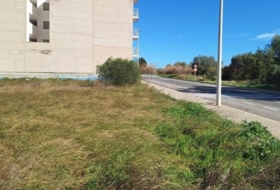 Moncofa 1945&nbsp;m² 
