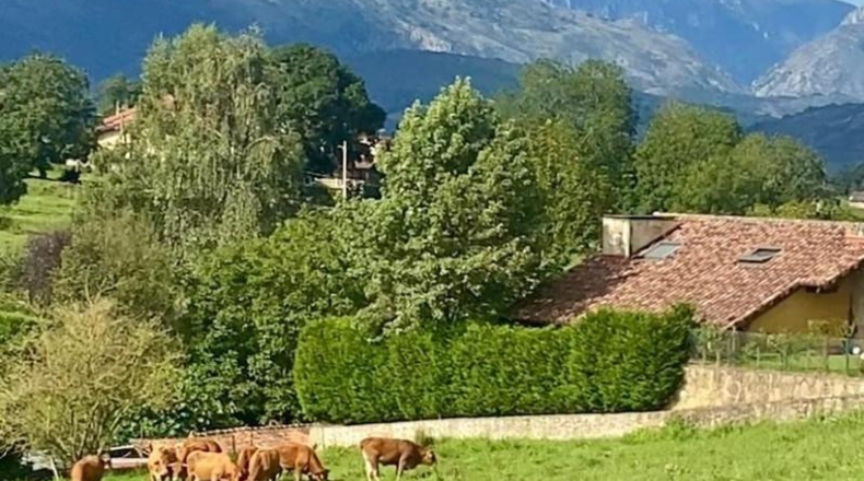 Cantabria - San Vicente de la Barquera - 5351m2
