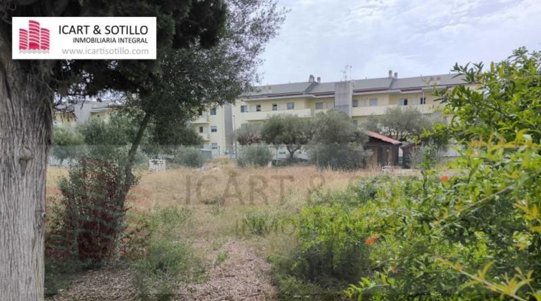 Castellón - Vinaroz - 1256m2