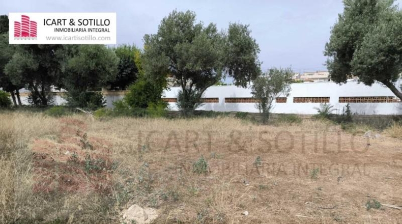 Castellón - Vinaroz - 1256m2
