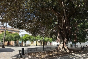 Jerez de la Frontera 407&nbsp;m² 