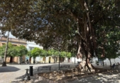Casa de poble en venda a la España, Jerez de la Frontera, ref.: TR416315 foto
