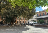 Casa de poble en venda a la España, Jerez de la Frontera, ref.: TR416315 foto