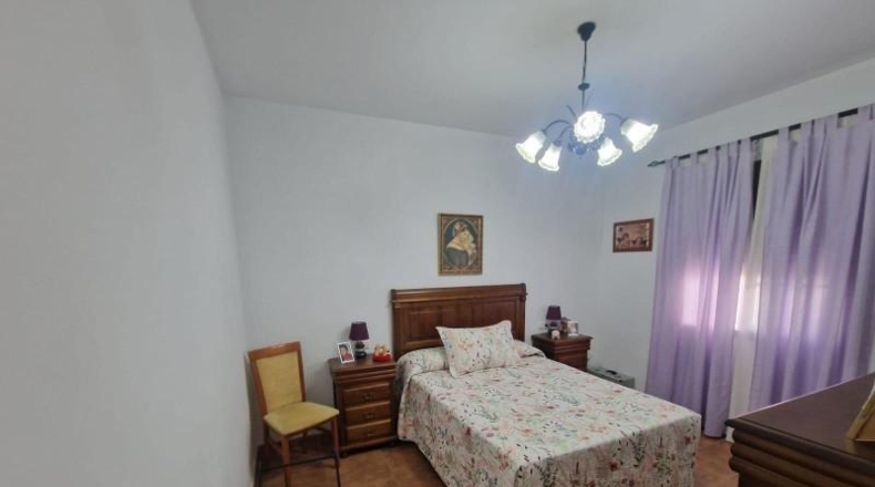 Cádiz - Medina Sidonia - 453m2