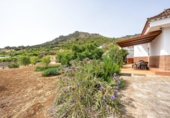 Detached villa with land for sale on España, Valsequillo, ref: TR416330 photo