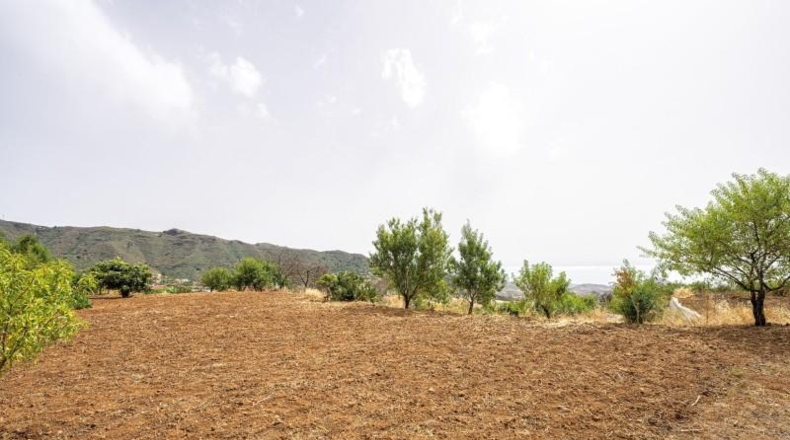 Las Palmas - Valsequillo - 3000m2