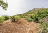 Detached villa with land for sale on España, Valsequillo, ref: TR416330 photo