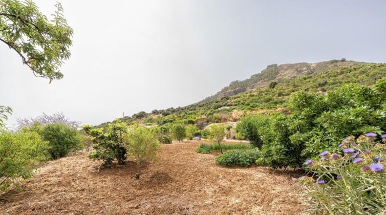 Las Palmas - Valsequillo - 3000m2