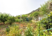 Detached villa with land for sale on España, Valsequillo, ref: TR416330 photo