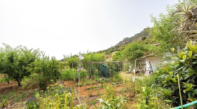 Las Palmas - Valsequillo - 3000m2