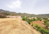Detached villa with land for sale on España, Valsequillo, ref: TR416330 photo