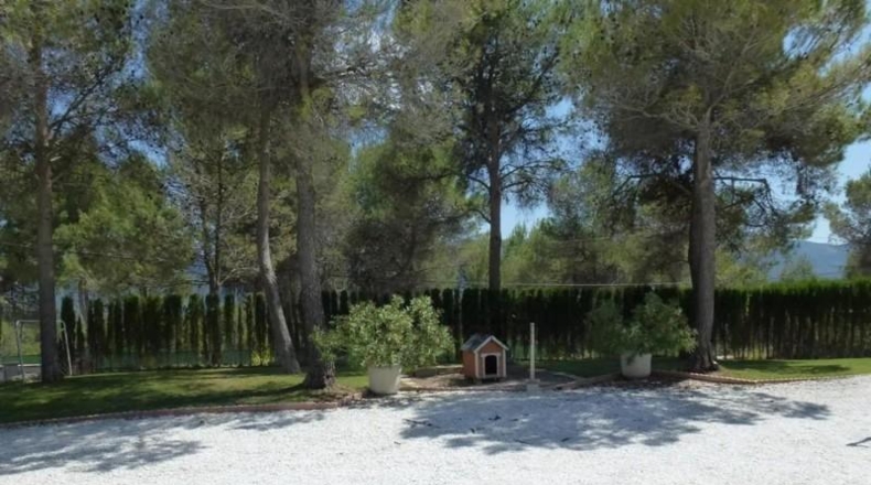 Alicante - Alcoy - 2800m2