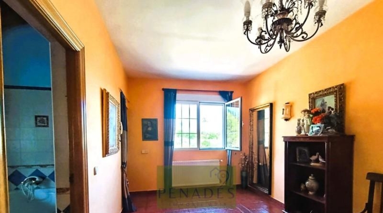 Valencia - Ontinyent - 2490m2