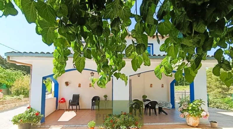 Valencia - Ontinyent - 2490m2