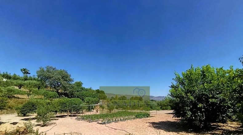 Valencia - Ontinyent - 2490m2