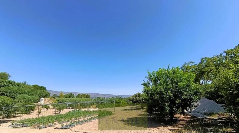 Valencia - Ontinyent - 2490m2