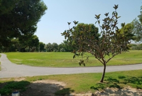 Foto 18