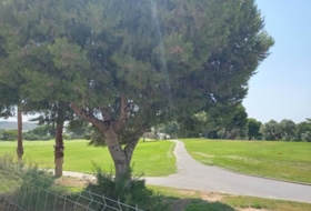 Foto 19