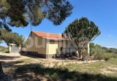 Xalet independent amb terreny en venda a la España, Elx, ref.: TR416353 foto