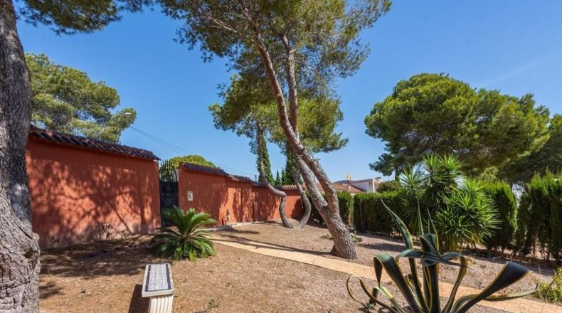 Alicante - Torrevella - 800m2