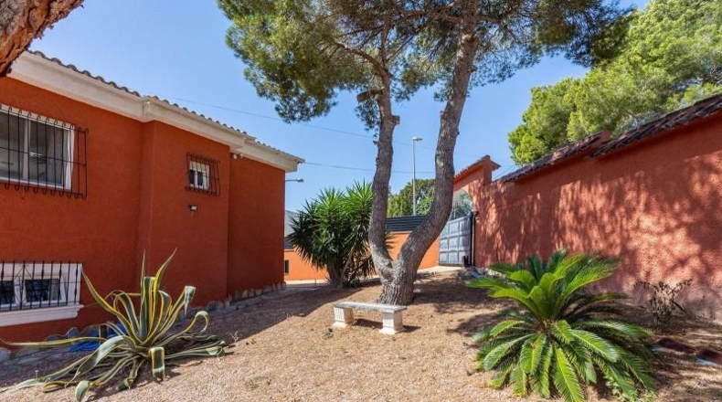 Alicante - Torrevella - 800m2