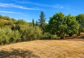 Casa amb terreny en venda a Estepona ref.: TR232326 foto