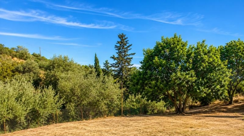 Málaga - Estepona - 20000m2
