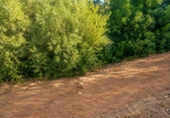 Casa amb terreny en venda a Estepona ref.: TR232326 foto