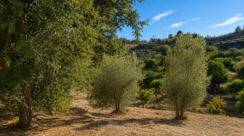 Málaga - Estepona - 20000m2