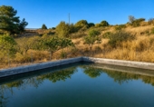 Casa amb terreny en venda a Estepona ref.: TR232326 foto