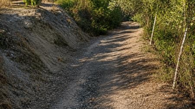 Málaga - Estepona - 20000m2