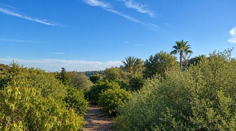 Málaga - Estepona - 20000m2
