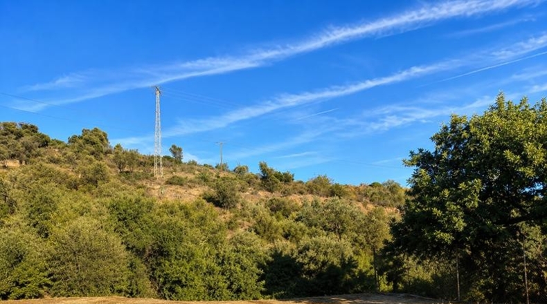 Málaga - Estepona - 20000m2