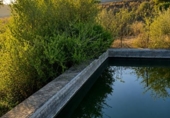 Casa amb terreny en venda a Estepona ref.: TR232326 foto