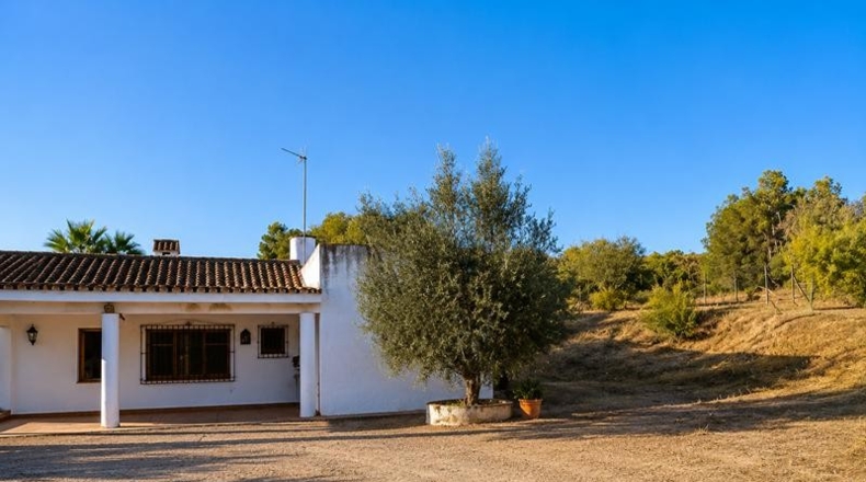 Málaga - Estepona - 20000m2