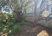 Chalet independiente con terreno en venta en Badajoz ref: TR416366 foto