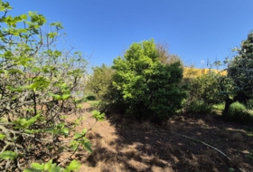 Badajoz 2500&nbsp;m²