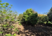 Chalet independiente con terreno en venta en Badajoz ref: TR416366 foto