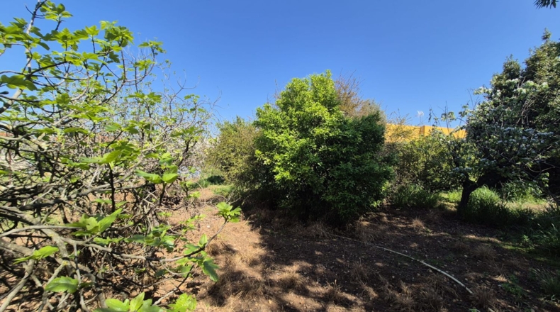 Badajoz - Badajoz - 2500m2