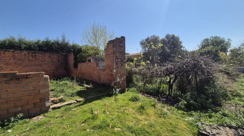 Badajoz - Badajoz - 2500m2