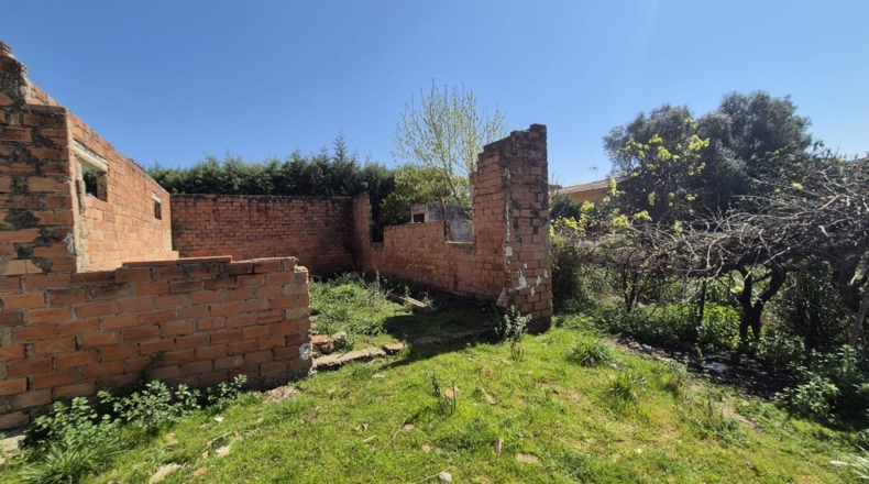 Badajoz - Badajoz - 2500m2