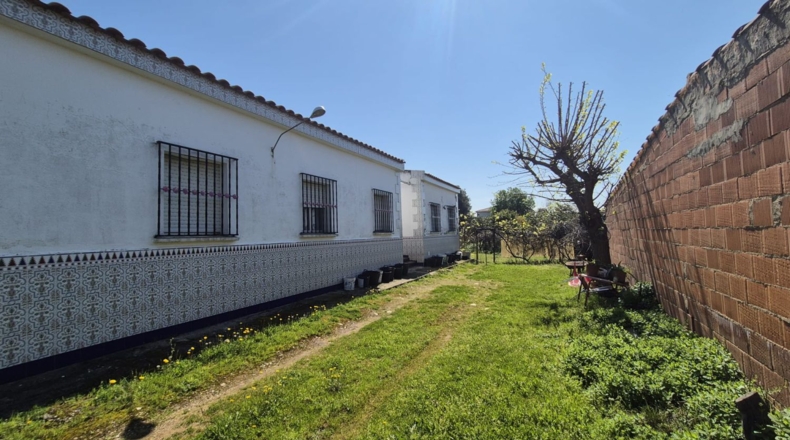 Badajoz - Badajoz - 2500m2