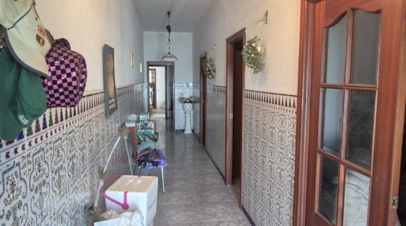 Badajoz - Badajoz - 2500m2