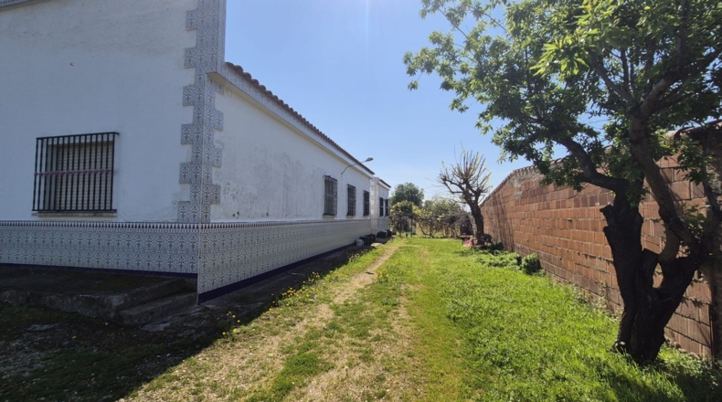 Badajoz - Badajoz - 2500m2