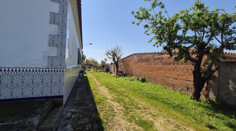 Badajoz - Badajoz - 2500m2