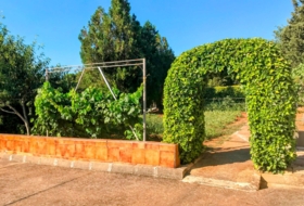 Foto 15